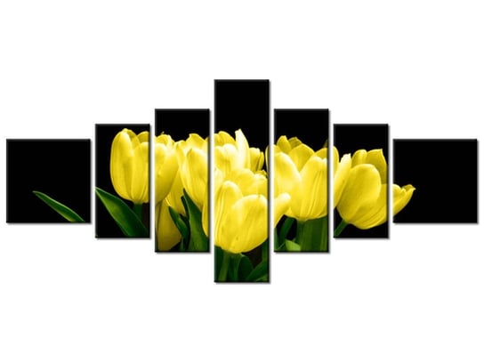 Obraz Żółte tulipany- Mark Freeth, 7 elementów, 160x70 cm Oobrazy