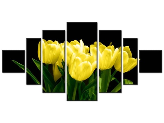 Obraz Żółte tulipany- Mark Freeth, 7 elementów, 200x100 cm Oobrazy