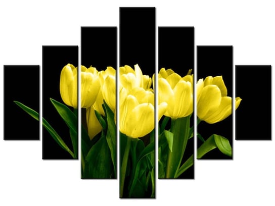 Obraz Żółte tulipany- Mark Freeth, 7 elementów, 210x150 cm Oobrazy