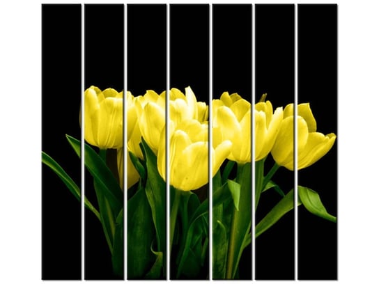 Obraz Żółte tulipany- Mark Freeth, 7 elementów, 210x195 cm Oobrazy