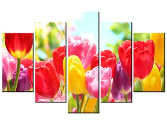 Obraz Żółty tulipan, 5 elementów, 100x63 cm Oobrazy