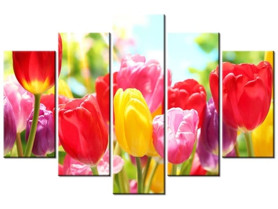 Obraz, Żółty tulipan, 5 elementów, 150x100 cm Oobrazy