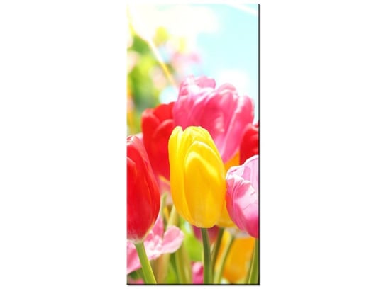 Obraz Żółty tulipan, 55x115 cm Oobrazy