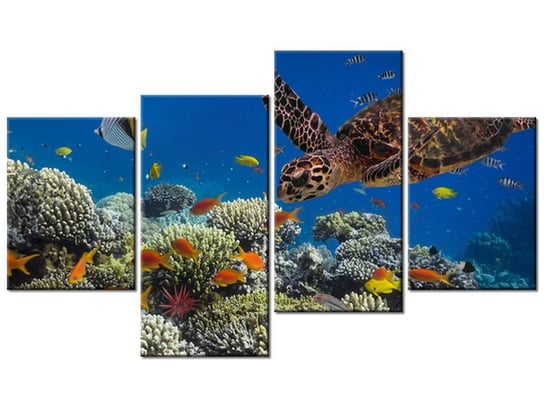Obraz Żółw pod wodą, 4 elementy, 120x70 cm Oobrazy