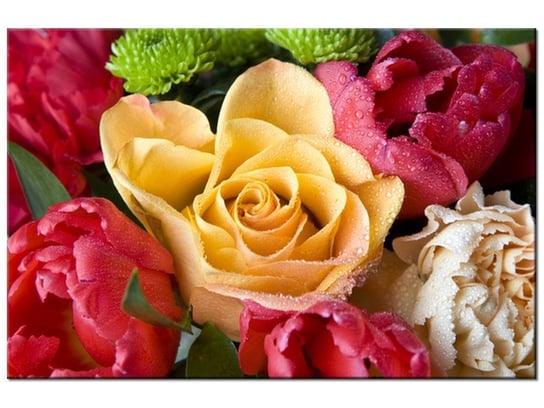 Obraz Zroszona róża, 90x60 cm Oobrazy