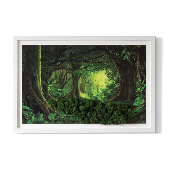 Obrazek 3D z Chrobotkiem Naturalnym - Tropikalna dżungla - 60x40 cm Tulup