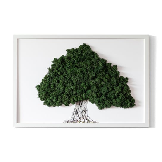 Obrazek z Żywym Mchem - Drzewo z korzeniami na białym tle - 60x40 cm Tulup