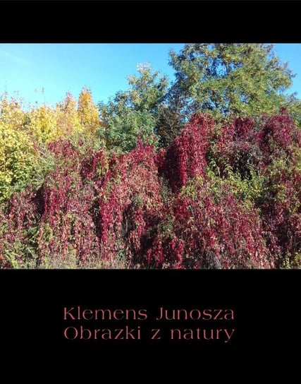 Obrazki z natury Junosza Klemens
