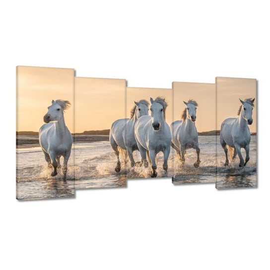 Obrazy 150x80 Dzikie konie Wild Horses ZeSmakiem