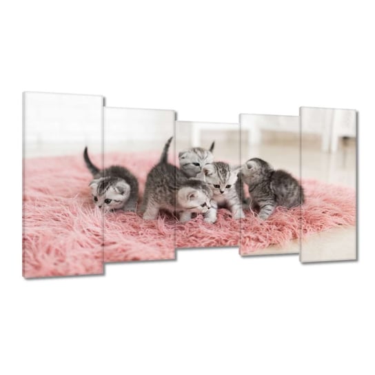 Obrazy 150x80 Pięć mały kotków ZeSmakiem