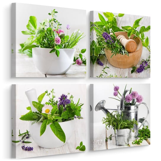 Obrazy Do Kuchni SET Świeże ZIOŁA Przyprawy Rośliny Natura Kwiaty 60cm x 60cm Muralo