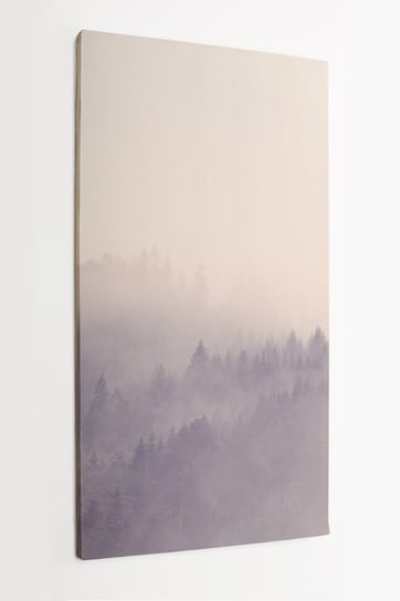 Obrazy na płótnie HOMEPRINT, zamglony, mglisty las, poranek, widok z góry 50x100 cm HOMEPRINT