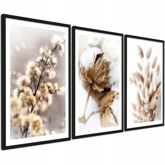 Obrazy na ścianę foto-obraz zdjęcie zestaw boho 3 szt w formacie 30x40 cm. PosterPlanet