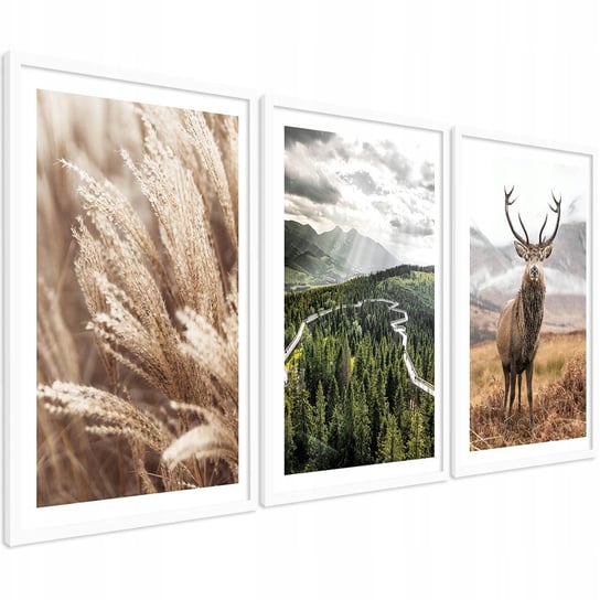 Obrazy w ramie do salonu 3 sztuki dekoracja natura las zestaw 30x40 tryptyk PosterPlanet