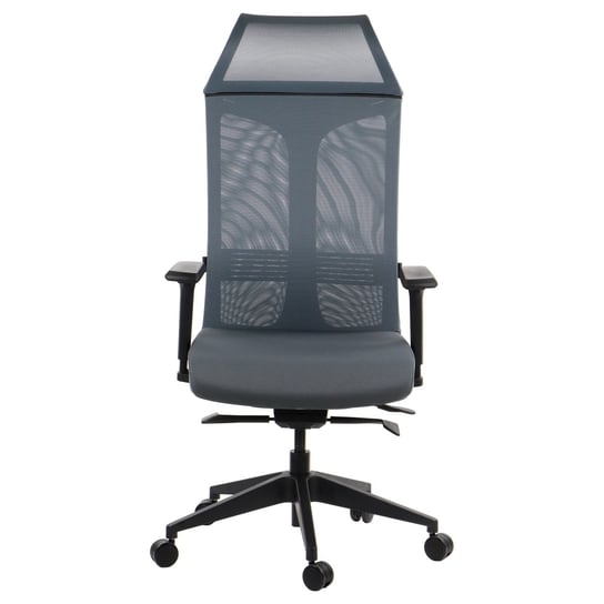 Obrotowe ergonomiczne krzesło biurowe RYDER, szary, synchroniczny mechanizm samoważący, regulowane podłokietniki, wysuw siedziska Stema