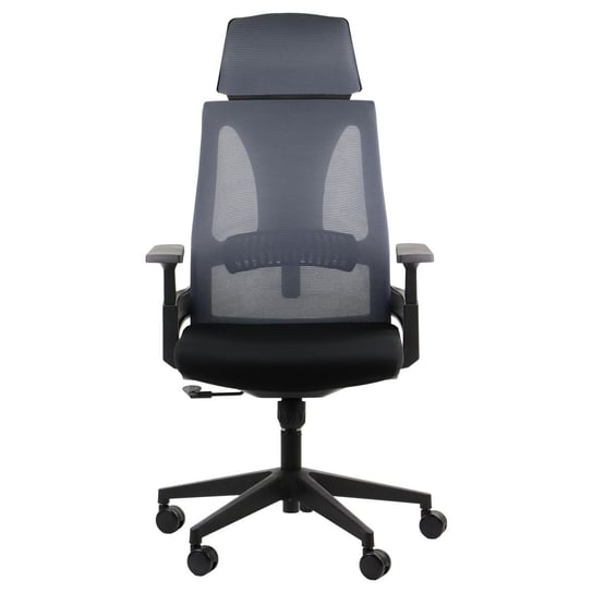 Obrotowe krzesło biurowe OLTON H, szary, podstawa nylonowa, zagłówek Stema