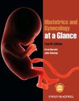 Obstetrics and Gynecology at a Glance Schorge John O., Norwitz Errol R.
