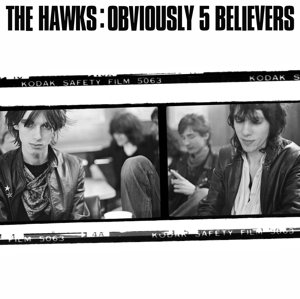 Obviously 5 Believers, płyta winylowa The Hawks