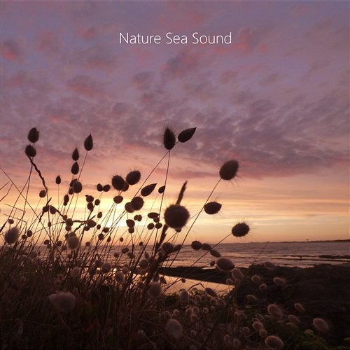 Ocean Waves Sound. Nature Water Sounds. Relax, Unwind, Serenity Sound Nature Sea Sound