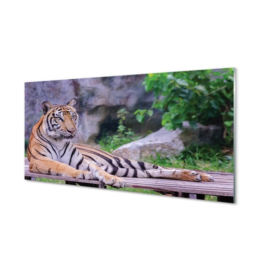 Ochronny panel kuchenny + klej Tygrys w zoo 120x60 Tulup