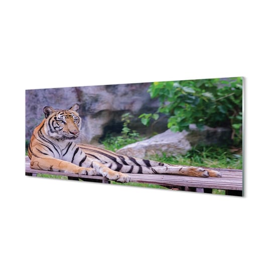 Ochronny panel kuchenny + klej Tygrys w zoo 125x50 cm Tulup