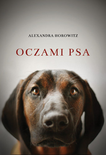 Oczami psa Horowitz Alexandra