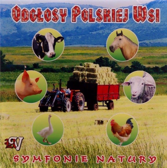 Odgłosy Polskiej Wsi 432 Hz Various Artists