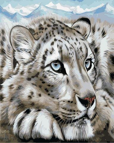 Odpoczynek białego geparda - Malowanie po numerach 50x40 cm ArtOnly