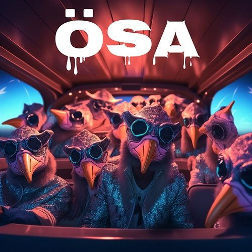 ÖSA Raaban, Laser Inc.