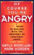 Of Course You're Angry: A Gracious History and a Traveler's Guide Rosellini Gayle, Worden Mark