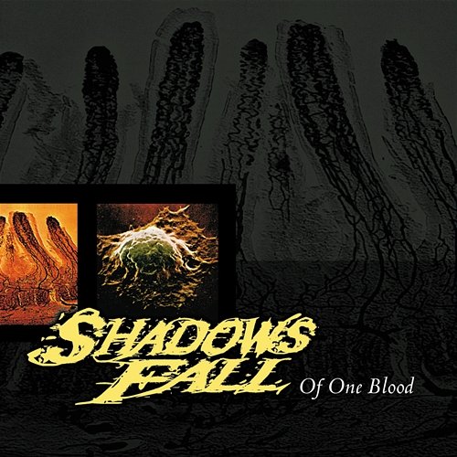 Of One Blood Shadows Fall