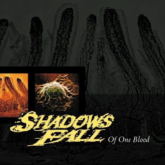 Of One Blood (RSD Black Friday 2020), płyta winylowa Shadows Fall