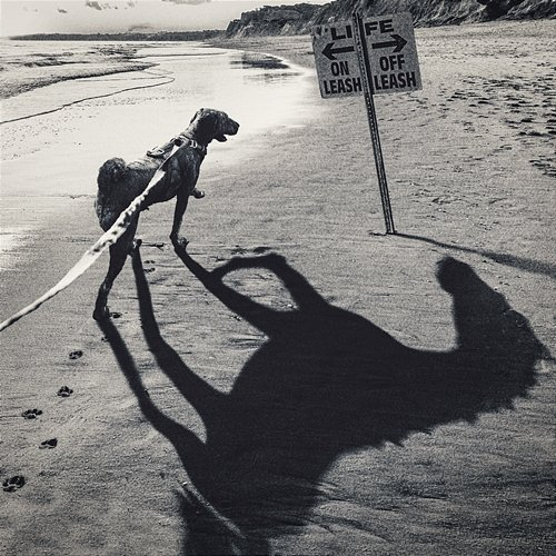 Off-Leash WANIMA