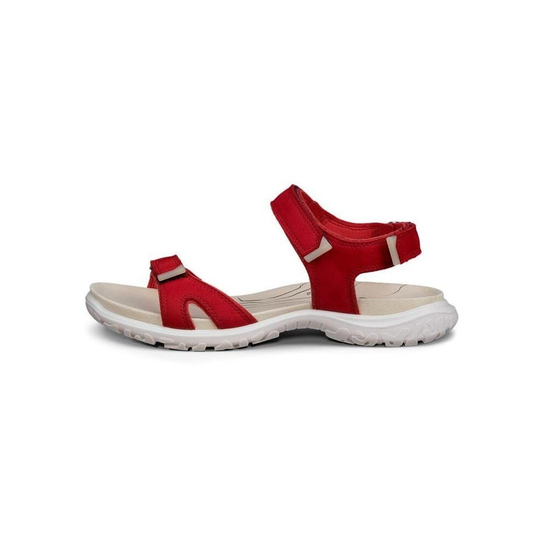 Offroad Roam Ecco