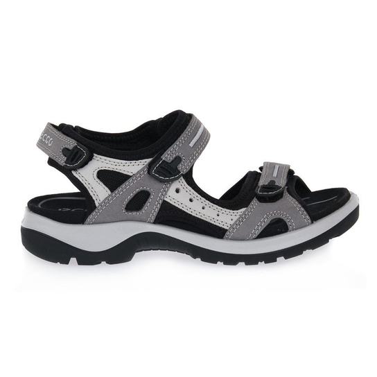 Offroad Titanium Ecco