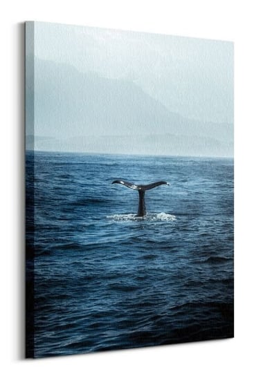 Ogon Wieloryba - obraz na płótnie Nice Wall