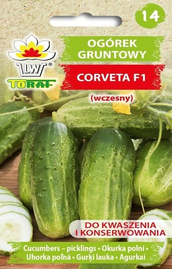 Ogórek Corveta F1 wczesny ciemnozielony nasiona warzyw Toraf