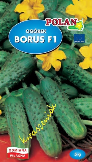 Ogórek Gruntowy Borus - Mieszaniec Nasiona 5g Polan Polan