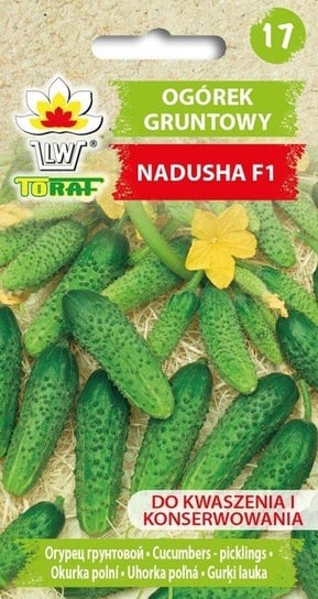 Ogórek NADUSHA F1
Cucumis sativus L. Toraf