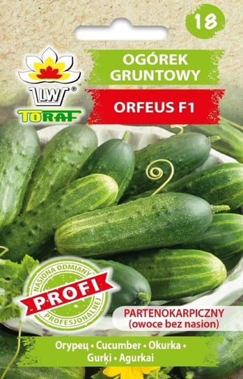 Ogórek Orfeus F1 Partenokarpiczny wczesny nasiona warzyw Toraf