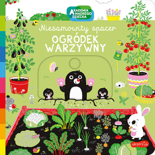 Ogródek warzywny. Akademia mądrego dziecka. Niesamowity spacer Opracowanie zbiorowe