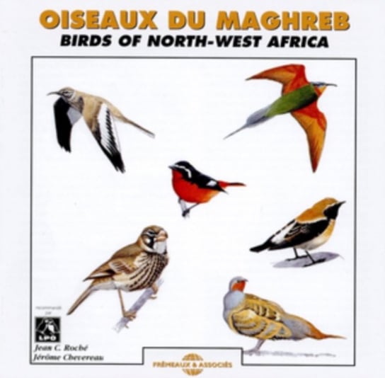 Oiseaux Du Maghreb Birdsong
