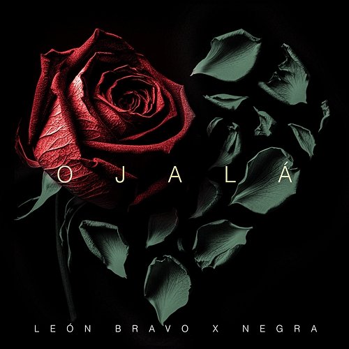 Ojalá León Bravo & Negra