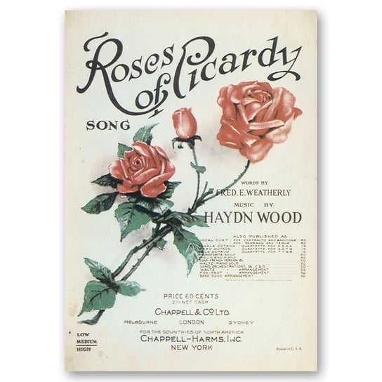 Okładka muzyczna Roses Of Picardy 50x70 Legendarte