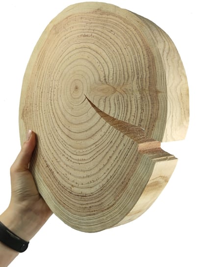 Okorowany Plaster Modrzewia 25-30 Cm Gr. 4 Cm Szlifowany Drewno Modrzewiowe Naturalny Surowy / Wamar-Sosenka Inna marka