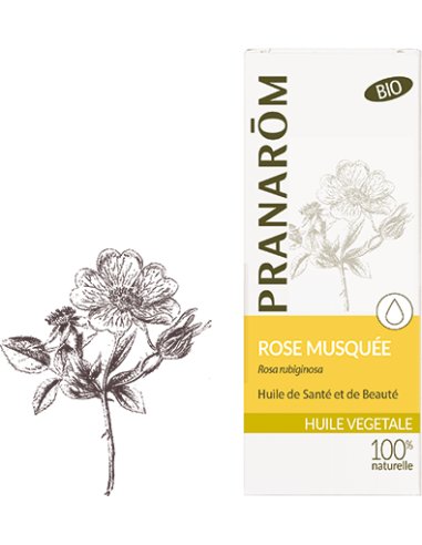 Olej różany Rosa rubiginosa róża rdzawa 50ml PRANARÔM BIO Inna marka