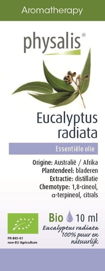 OLEJEK ETERYCZNY EUKALIPTUS AUSTRALIJSKI (EUCALYPTUS RADIATA) BIO 10 ml - PHYSALIS Physalis