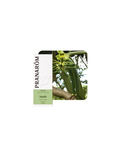 Olejek waniliowy eteryczny Vanilla planifolia 5ml PRANARÔM BIO PRANARÔM