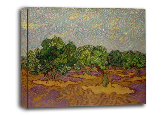 Olive Trees, Vincent van Gogh - obraz na płótnie 40x30 cm Galeria Plakatu