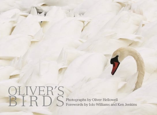 Oliver's Birds: By Oliver Hellowell Acc Art Books